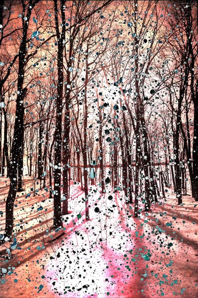 Birch Trees: Birches Impression by 5by5collective