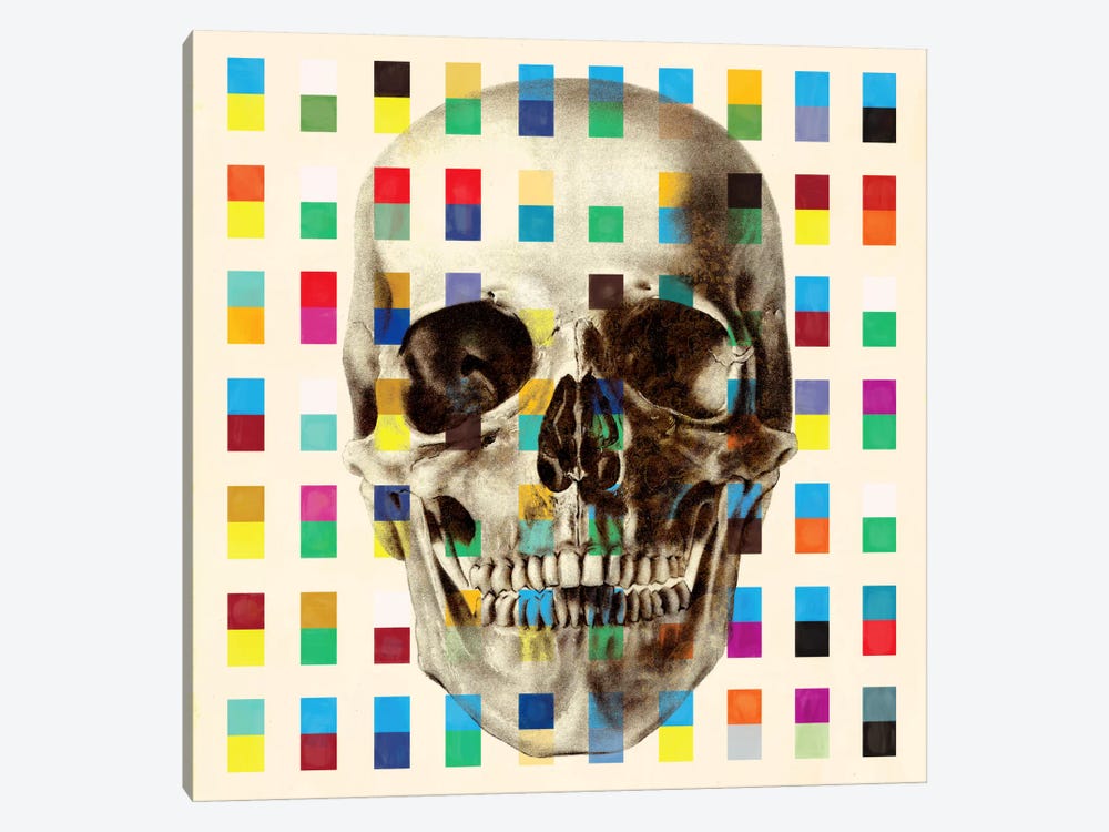 White Skull Cubes 1-piece Canvas Art