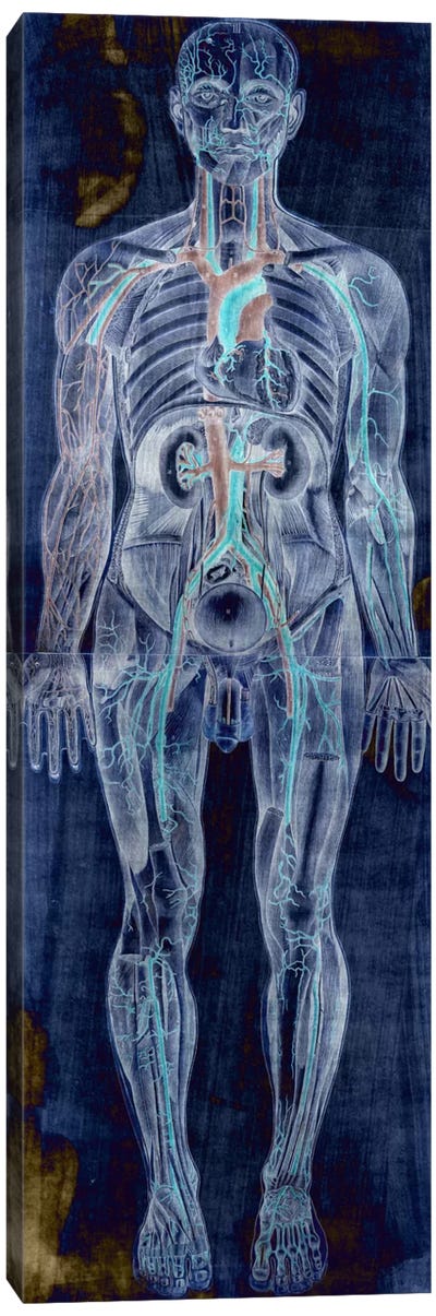 Human Anatomy Composition #2 Canvas Art Print - Neon Pop Collection