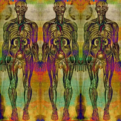 Human Anatomy Composition #8 by 5by5collective canvas print