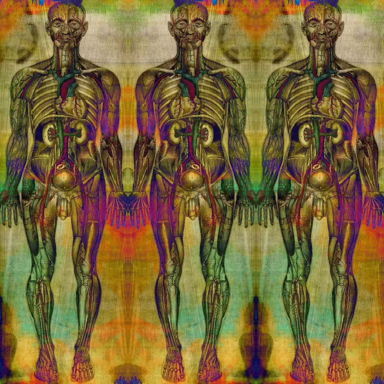 Human Anatomy Composition #8
