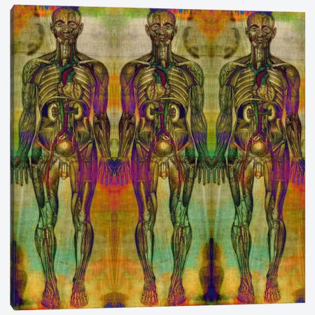 Human Anatomy Composition #8 Canvas Print #UVP46g} by Unknown Artist Canvas Print