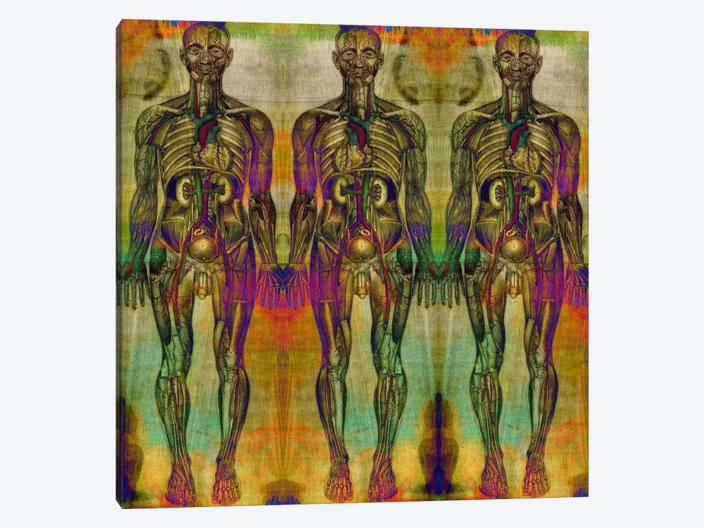 Human Anatomy Composition #8 by 5by5collective 1-piece Canvas Art