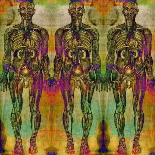 Skeletons: Human Anatomy Composition #8 by 5by5collective