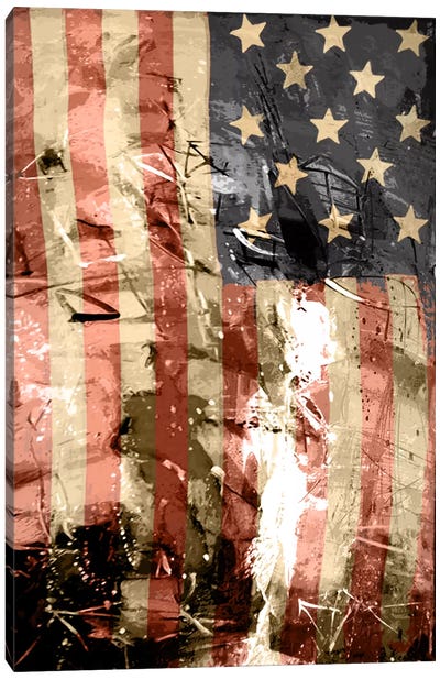 Star Spangled Grafitti Canvas Art Print - American Flag Art