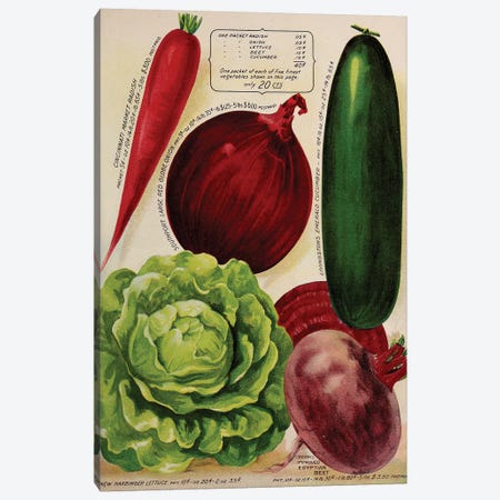 Annual Of True Blue Veggies Canvas Print #VAC1328} by Vintage Apple Collection Canvas Art