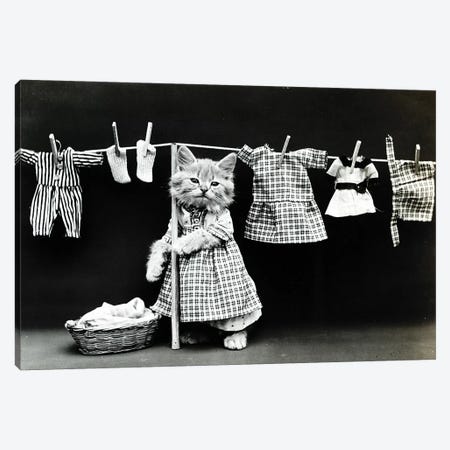 Kitty Laundry Canvas Print #VAC1738} by Vintage Apple Collection Art Print