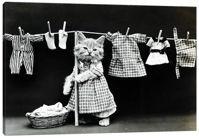 Kitty Laundry Canvas Art Print - Vintage Apple Collection