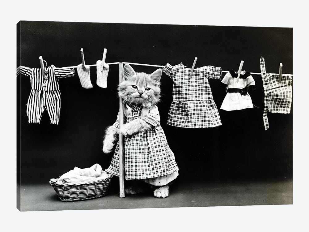 Kitty Laundry by Vintage Apple Collection 1-piece Canvas Artwork