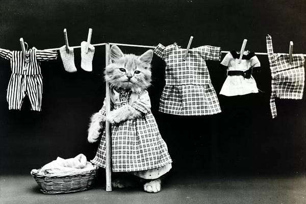 Vintage Apple Collection: Kitty Laundry by Vintage Apple Collection