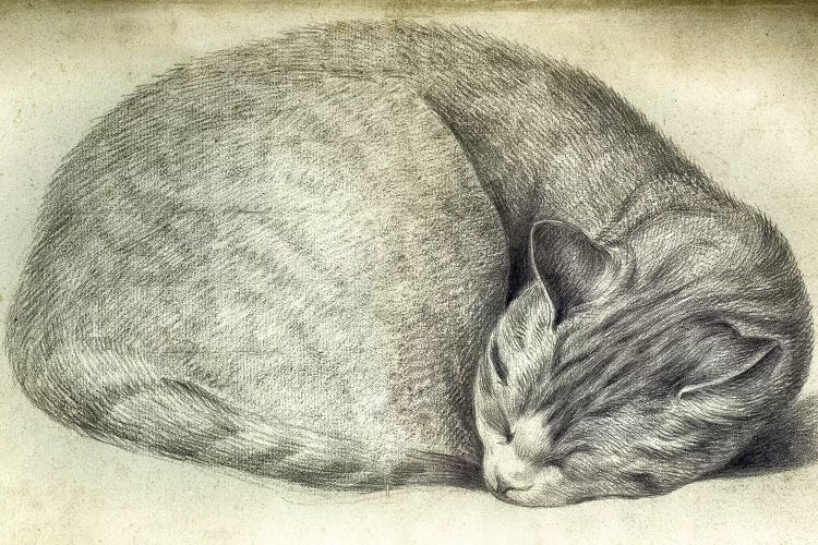 Sleeping Cat by Vintage Apple Collection wall art