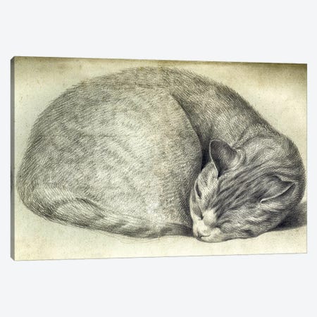 Sleeping Cat Canvas Print #VAC2012} by Vintage Apple Collection Canvas Wall Art