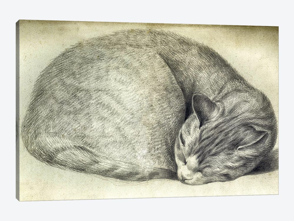 Sleeping Cat by Vintage Apple Collection 1-piece Canvas Print