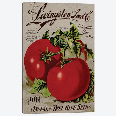 The Livingston Seed Co., Tomatoes, 1904 Canvas Print #VAC2058} by Vintage Apple Collection Canvas Art