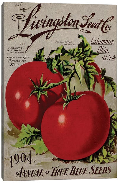 The Livingston Seed Co., Tomatoes, 1904 Canvas Art Print - Food & Drink Posters