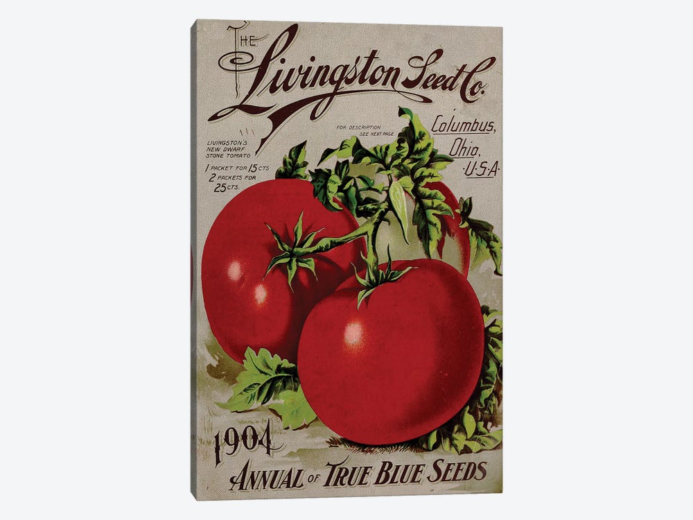 The Livingston Seed Co., Tomatoes, 1904 by Vintage Apple Collection 1-piece Canvas Art Print