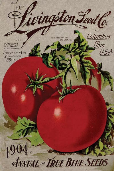 Vintage Apple Collection: The Livingston Seed Co., Tomatoes, 1904 by Vintage Apple Collection