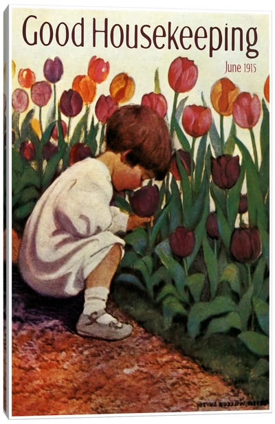 Good Housekeeping III Canvas Art Print - Tulip Art