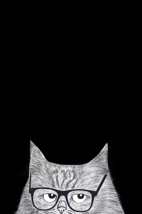 Intelligent Cat by Valeriya Korenkova wall art