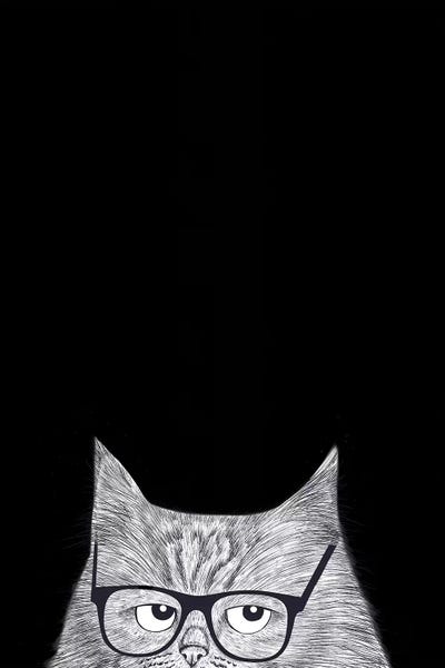 Kittens: Intelligent Cat by Valeriya Korenkova