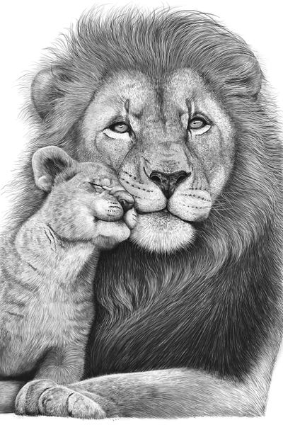 Black & White Drawings & Illustrations: Lion With A Baby by Valeriya Korenkova