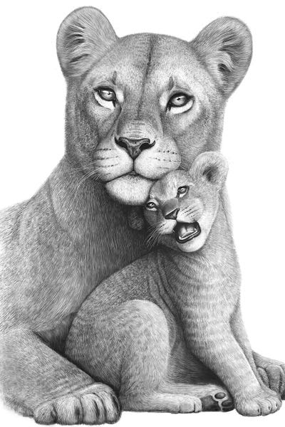 Black & White Drawings & Illustrations: Lioness With A Baby by Valeriya Korenkova