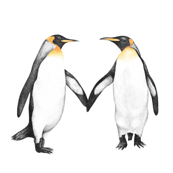 Penguins: Penguin Love by Valeriya Korenkova