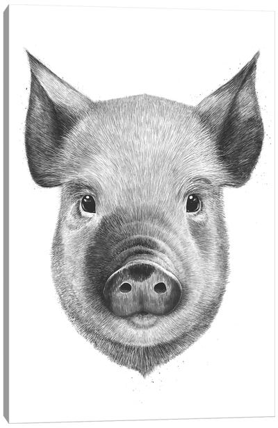 Pig Boy Canvas Art Print - Pig Art