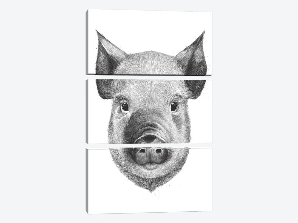 Pig Boy by Valeriya Korenkova 3-piece Canvas Print