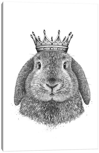 King Rabbit Canvas Art Print - Crown Art