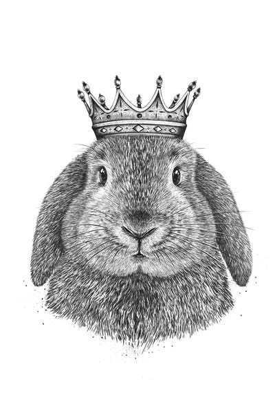 Crowns: King Rabbit by Valeriya Korenkova