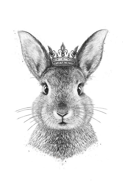 Queen Rabbit