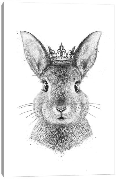 Queen Rabbit Canvas Art Print