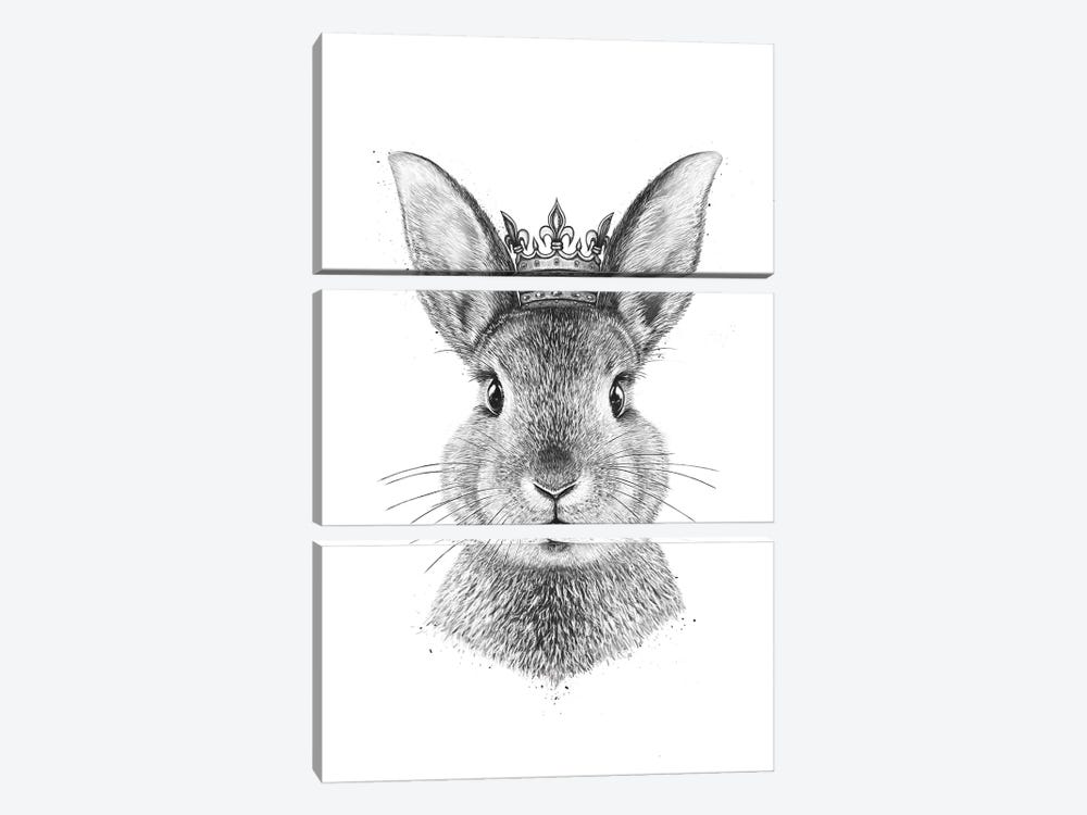 Queen Rabbit by Valeriya Korenkova 3-piece Canvas Artwork