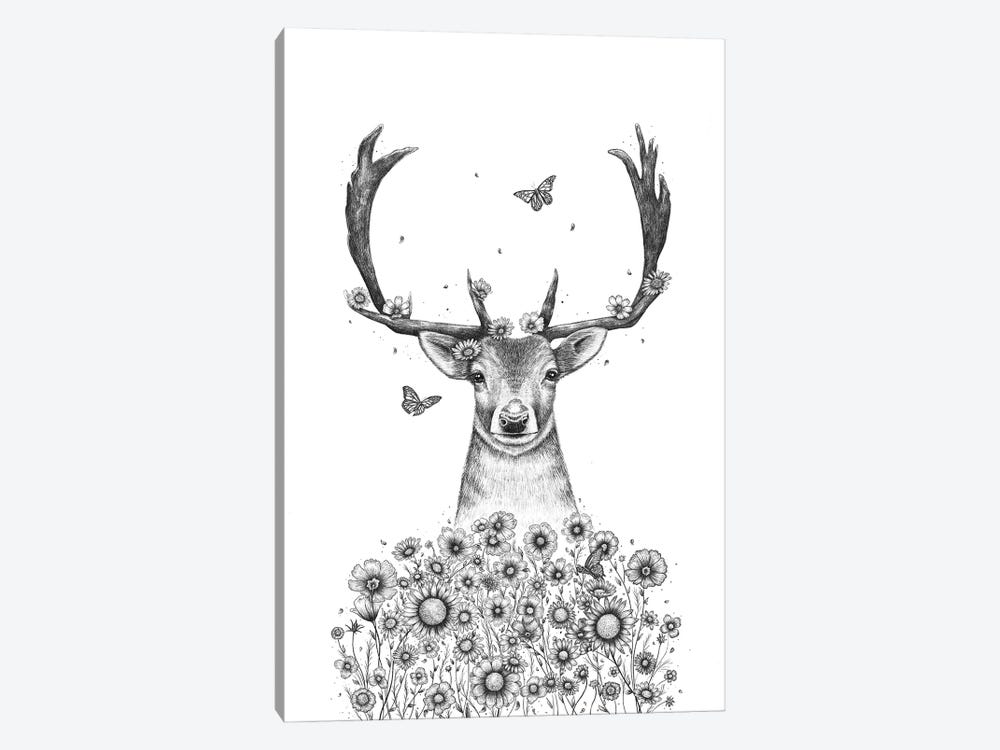 tumblr deer drawing