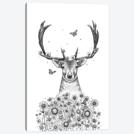 Deer In Flowers Canvas Print #VAK114} by Valeriya Korenkova Art Print