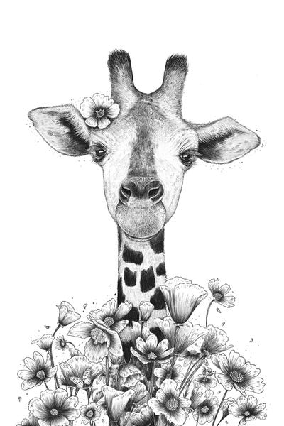 Black & White Drawings & Illustrations: Giraffe In Flowers by Valeriya Korenkova