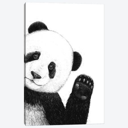 Panda Canvas Print #VAK116} by Valeriya Korenkova Art Print