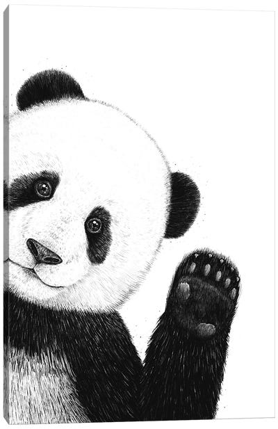 Panda Canvas Art Print - Valeriya Korenkova