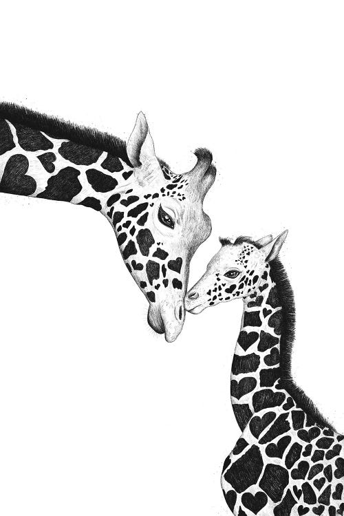 Giraffes