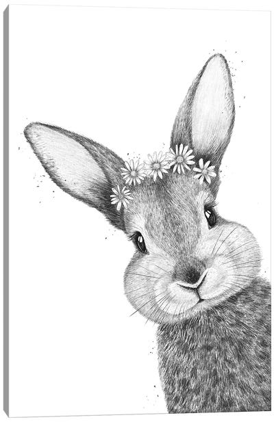 Rabbit With Chamomiles Canvas Art Print - Valeriya Korenkova