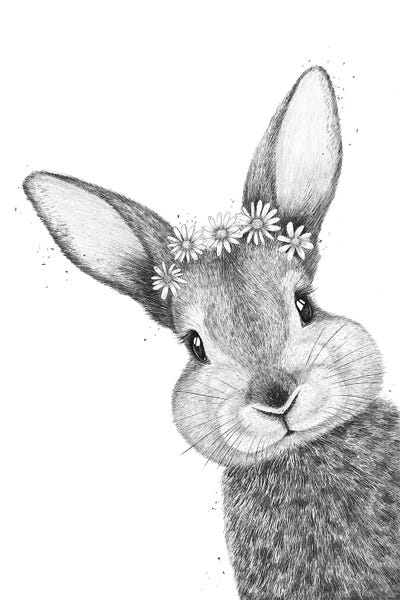 Black & White Florals: Rabbit With Chamomiles by Valeriya Korenkova