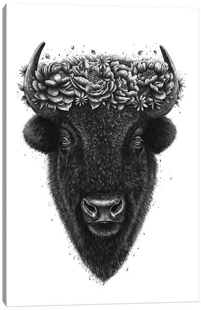 Bison With Wreath Canvas Art Print - Gray Art