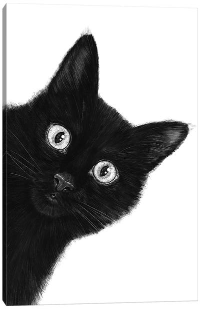 Black Cat Canvas Art Print - Cat Art