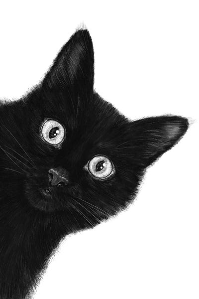 Black & White Decorative Art: Black Cat by Valeriya Korenkova