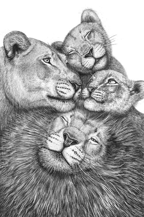 Family Of Lions