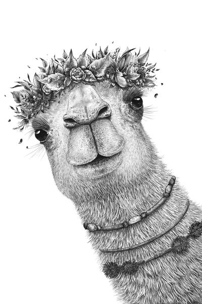 Black & White Florals: Camel With Wreath by Valeriya Korenkova