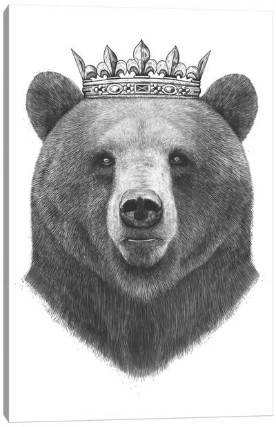 King Bear Canvas Art Print - Black & White Animal Art