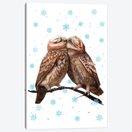 Winter Owls Canvas Print #VAK134} by Valeriya Korenkova Canvas Print