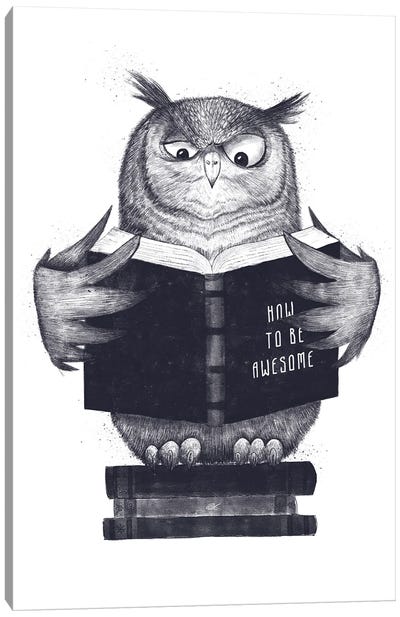 Wisdom Owl Canvas Art Print - Wisdom Art